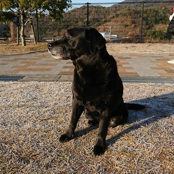 1724d1b2 4586 4237 a36b 0e51f0610471 1549066370732