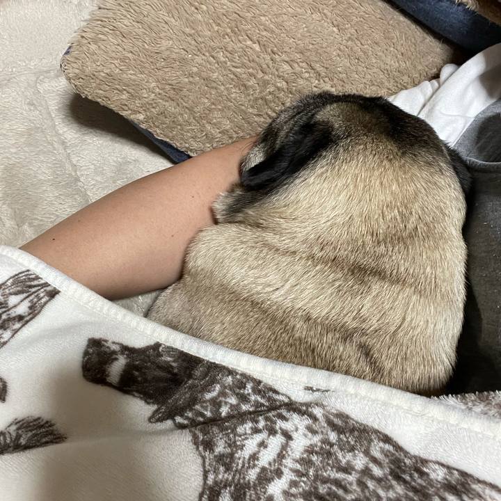 17252c93 e9f4 4da6 a619 dd1b747ba610 1619354273360