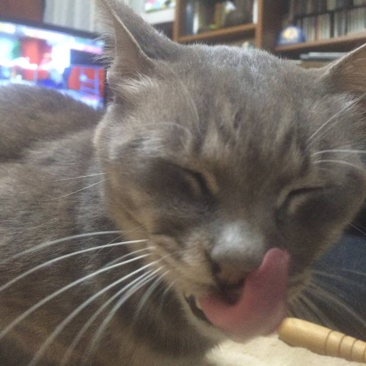 17252f66 6320 4c5e bd0e e413126c61d5 1562932995502