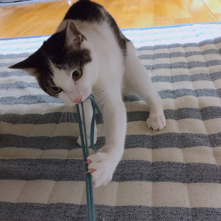 172534e5 4802 4edc a4b0 2688ad544a7e 1598959016072