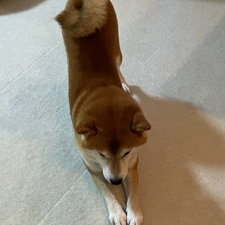 172536cf edc9 434f b720 96bbc60c70ad 1764542302652