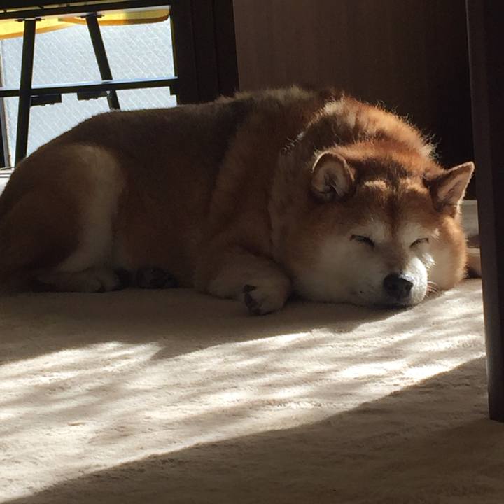 17253a29 646e 4ee2 bfee 11e5edaab412 1526916062883