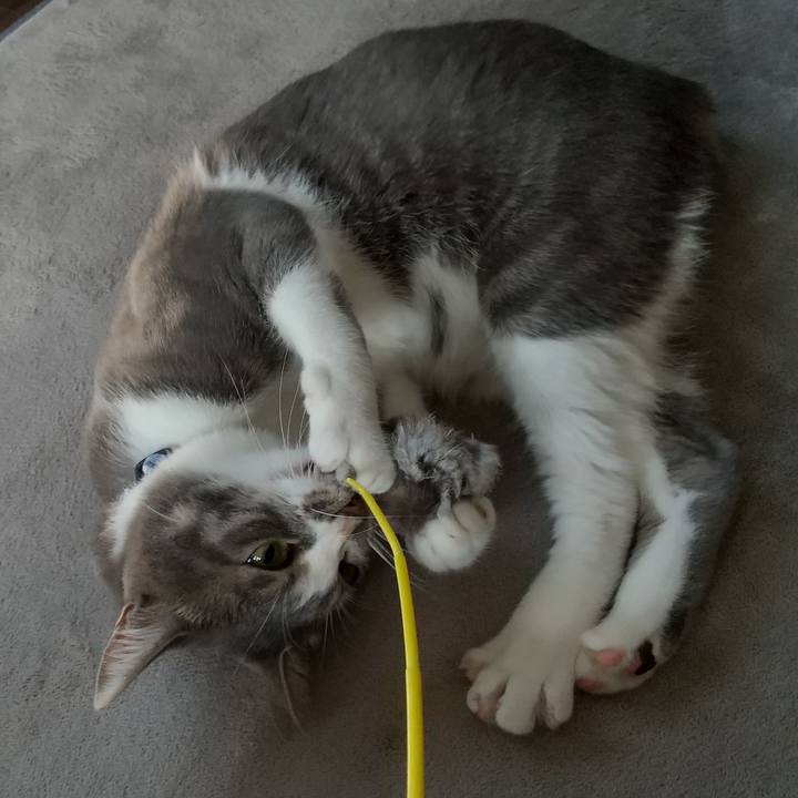 172543af 7830 4238 ad8c df01736b14b3 1597185648939