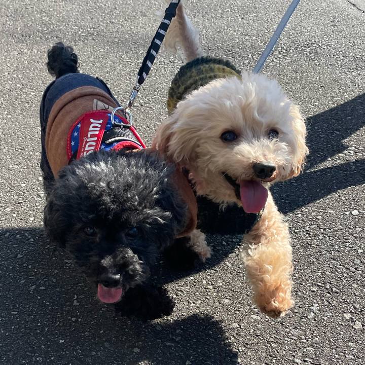 17257e1c cf24 42ec a29f bcd7a698075d 1669513511627