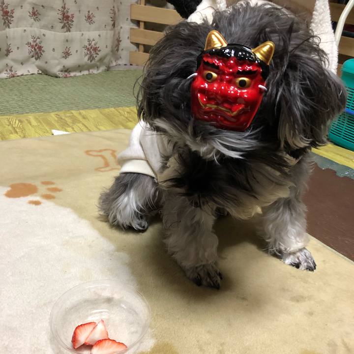 1725936c 0f1b 48c2 b81a a464d5e23d5f 1549200802946