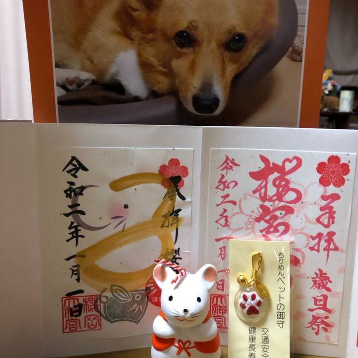 172599fd 55cf 41c9 bd63 0229ec569e4e 1577891395131