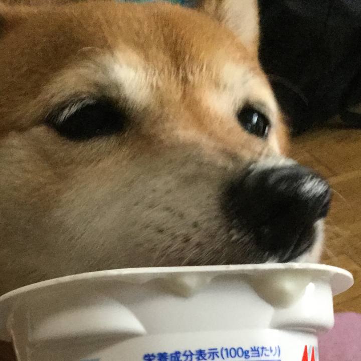 1725c14d daa6 4f0b a9a2 903bee2600c9 1597535146652