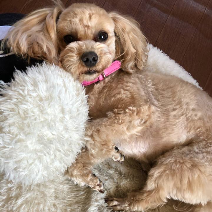 1725dc5c a9f4 4180 b5b1 6d1208fb2431 1613465488565