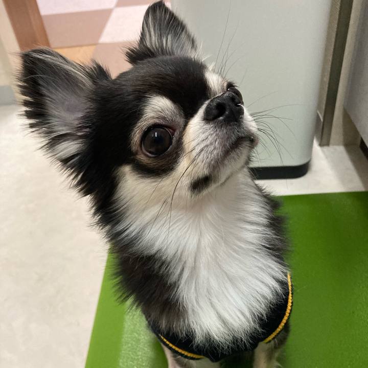 1725fcce 0738 4e47 927e f4428e467d15 1647698781989