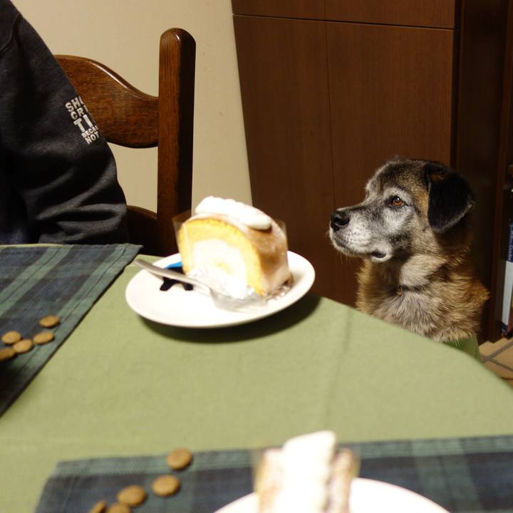 172637b2 b56e 4c40 93be 2d9deeb202b0 1571960648513