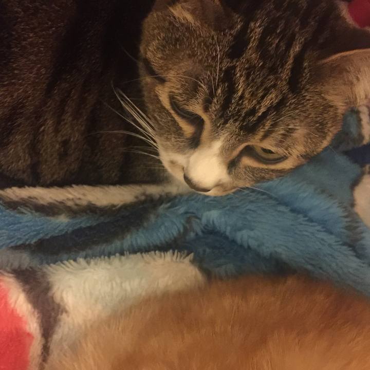 17264216 7e89 4aca 8aca 952d149f6652 1550158129465