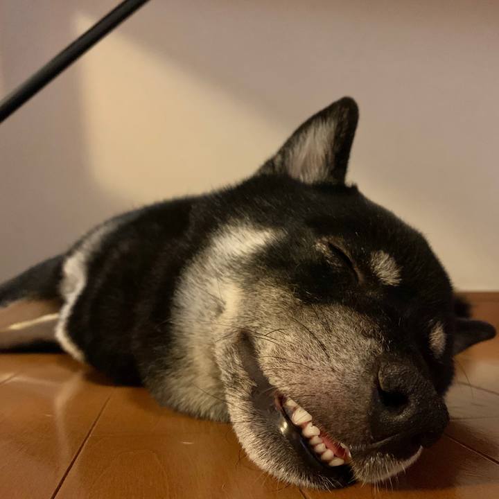 17267ac0 a2a0 4999 9dfd 05d2245b754e 1592662411332