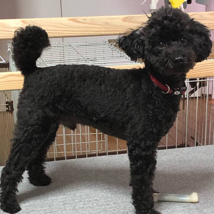 1726ab0f 50a4 4cba 86c3 7d63dfcc15e3 1578443347462