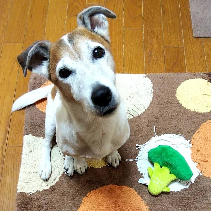 1726c761 1ceb 478e 9119 2d86438ad511 1553638271443