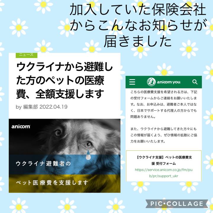 1726e050 1a47 40e7 9d79 fe0c803e8a38 1650594226589