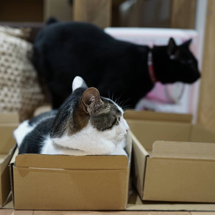 1726e4e1 cfa9 4ced 854a 080de9c1da98 1559746463136