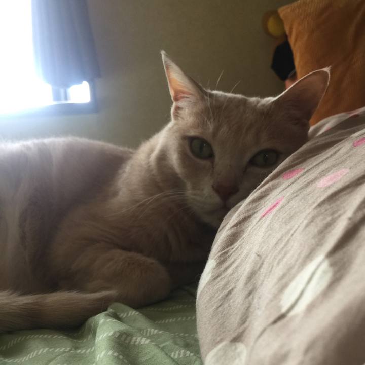 1726fb87 0ed8 4d52 b78c 8cdab0d51bc5 1624327955172