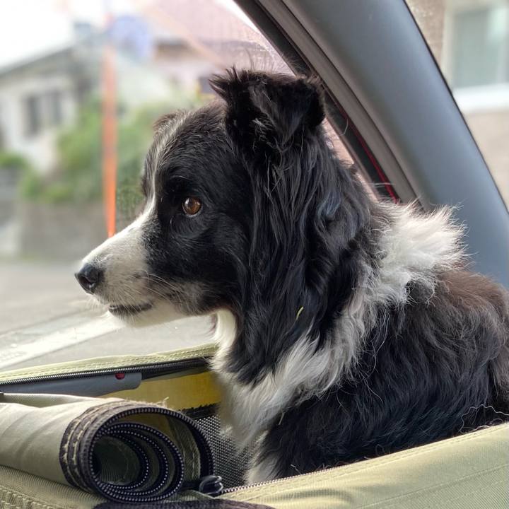 172705d6 bc17 44c4 bfbb 02bd3c51916b 1721214758236