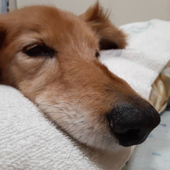 172717d5 9ea2 4736 85c6 71440735aae9 1669212994541