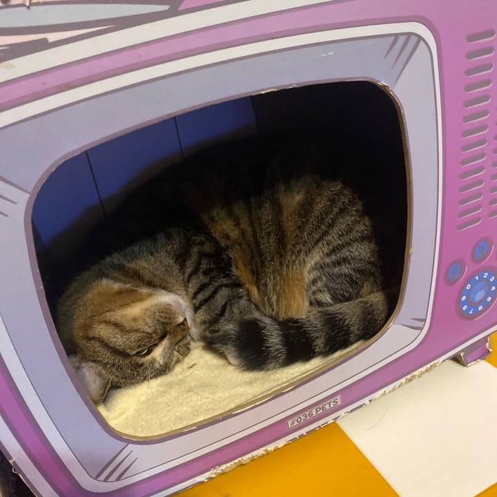 172728bf 1ae6 49a0 962c b969f9d69ea2 1697298086267