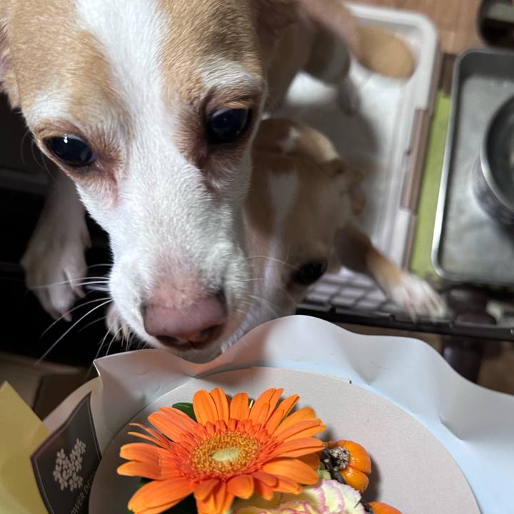 17273a12 1e88 4ba8 8c08 5084dbfa7a09 1697370384695