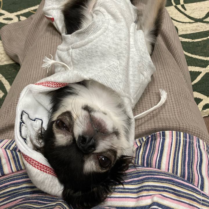 1727657f 6aef 4125 900c e53bc8b7f418 1642339257679