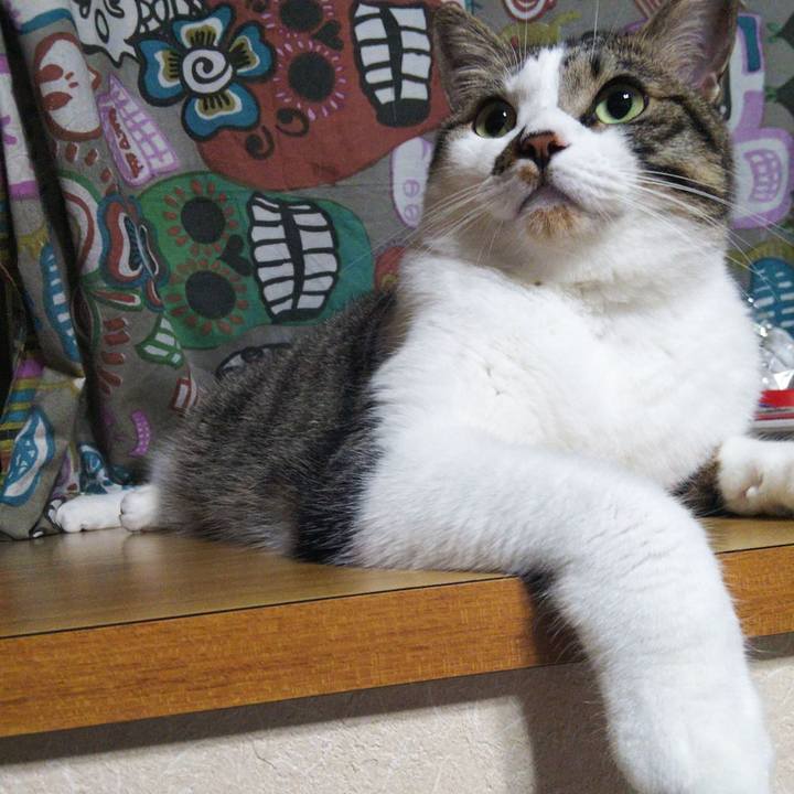 172773ec bec8 4b09 baaa cd3e0d9ad7ba 1655556588565