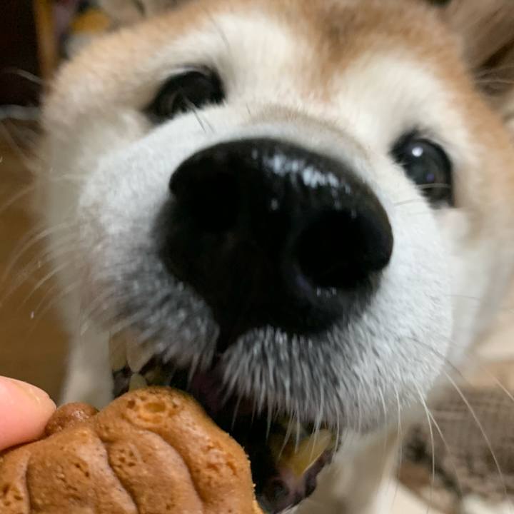 1727fd8b 7a2d 4648 be77 7578e81ad7a6 1603368660979