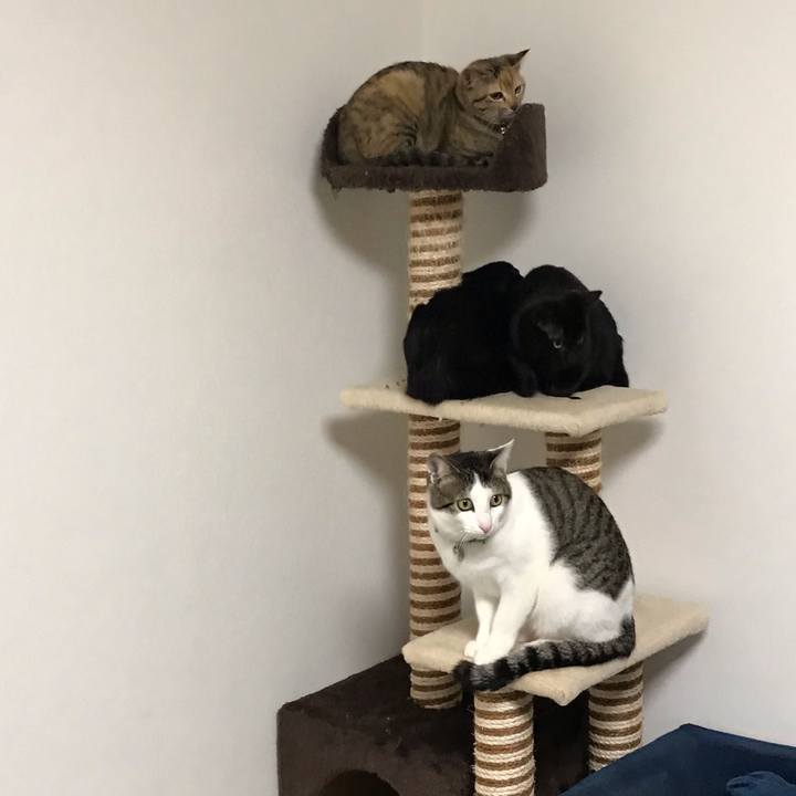 17283d21 3425 4204 b885 c1d8d7439cf7 1549699400983