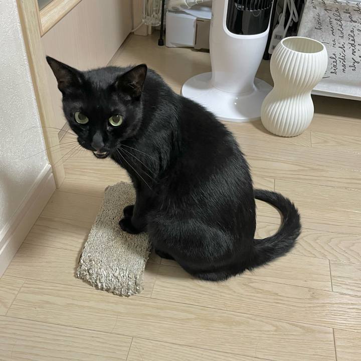 17287589 07d8 4586 8f2f 189fb3d5bc3a 1657809754388