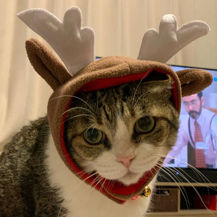 1728a230 6975 4264 b110 85d219743016 1671965130959