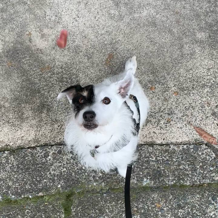 1728ae6a be44 4e78 b35c b31dbcda6289 1714953802435