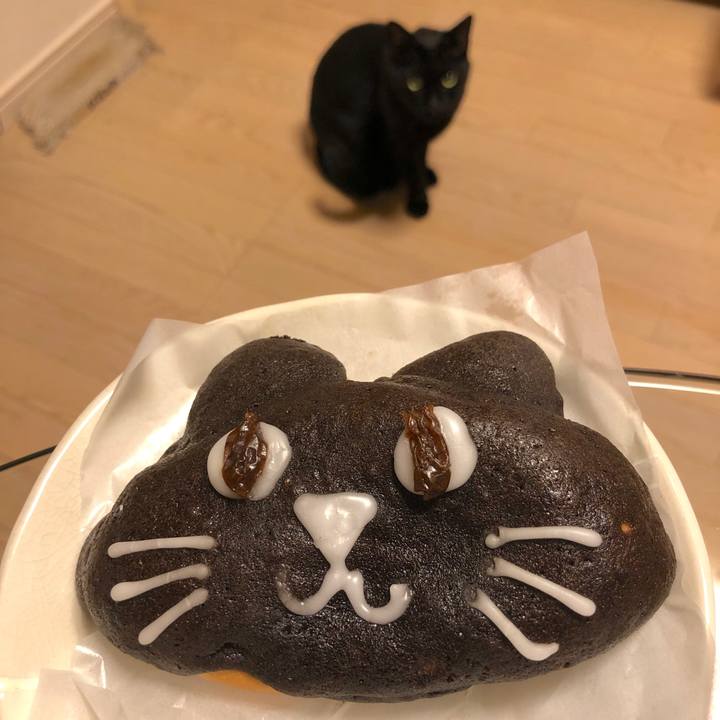 17290349 e53c 4cc3 95e4 ae1f593ce993 1572349657512