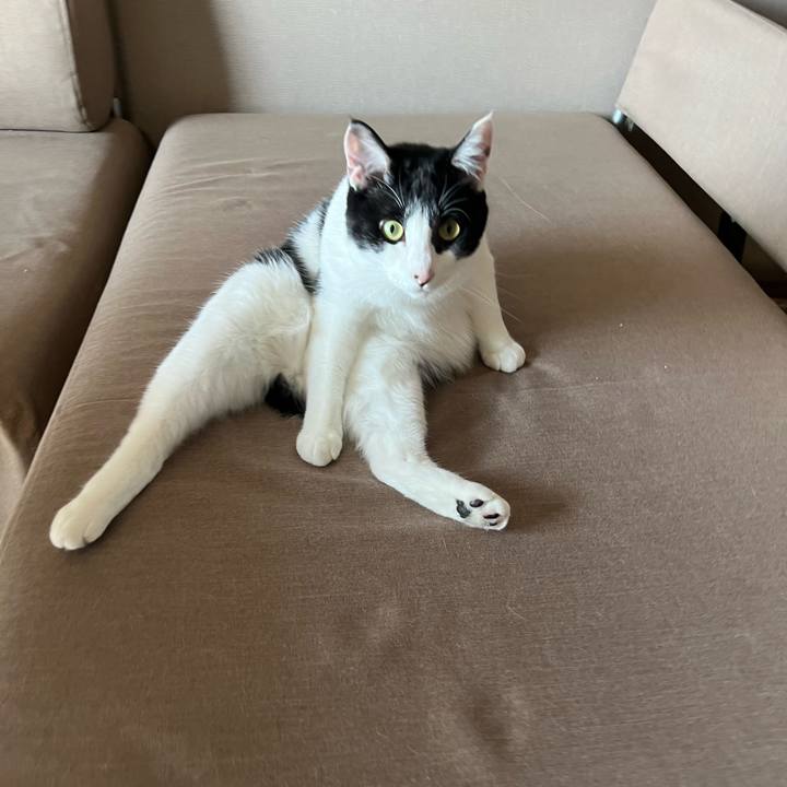 17293bc0 19a3 440b 9497 49c8795f6d5a 1648092139771