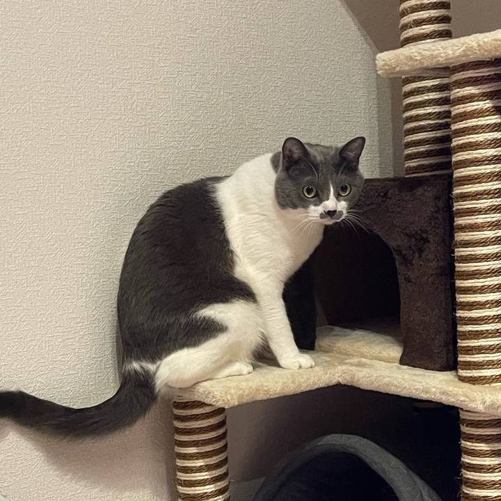 17294502 2c71 4217 9be6 fae7daf8ea1f 1666686189488