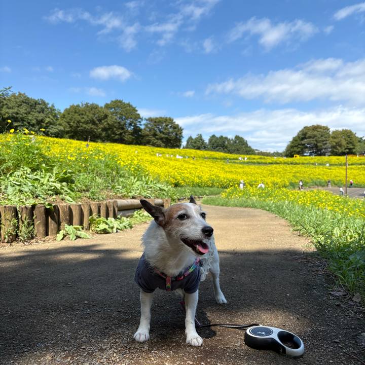 172959ae 0def 4487 b3e6 c769747761f3 1758497590321