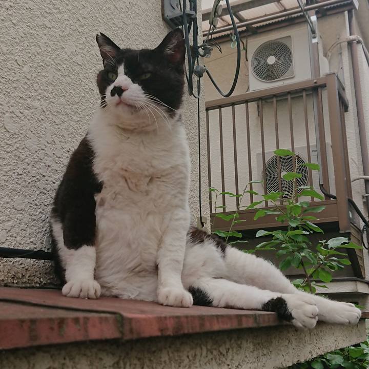 17297d29 f0af 4c82 91f8 927955fe263d 1563675518516