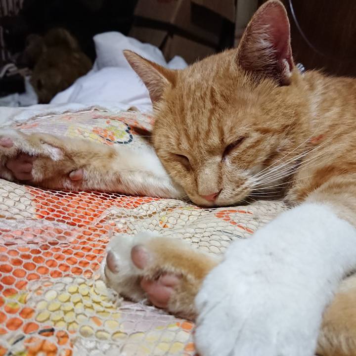 1729a2cd ae32 406e a51a a1df8c9207bf 1569934640376