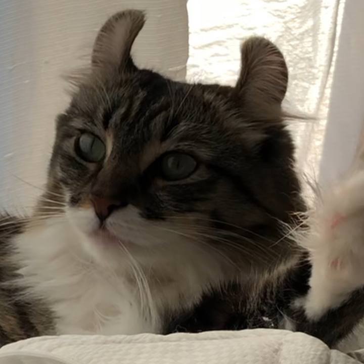 1729e6ba 8751 442f bd83 e7fc05fea2e2 1544238073290