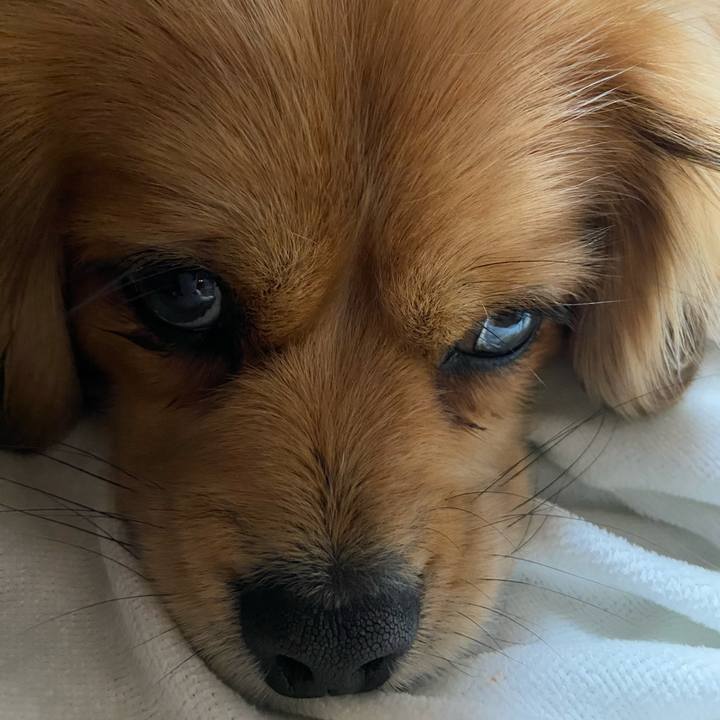 1729ff6f 2f32 4fb4 af85 3d3a69e2ecfa 1581760785996