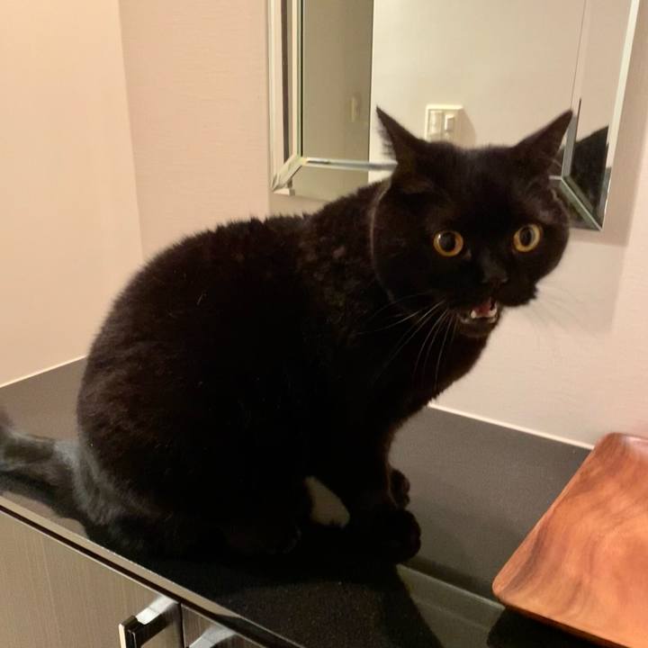 172a0c1a d813 4a22 977f 3161640c7862 1708506770586