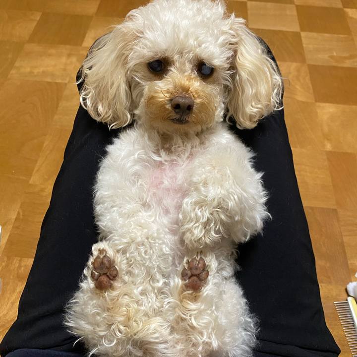 172a22d6 1be7 4169 b6ec 6046a08637f0 1614937977512