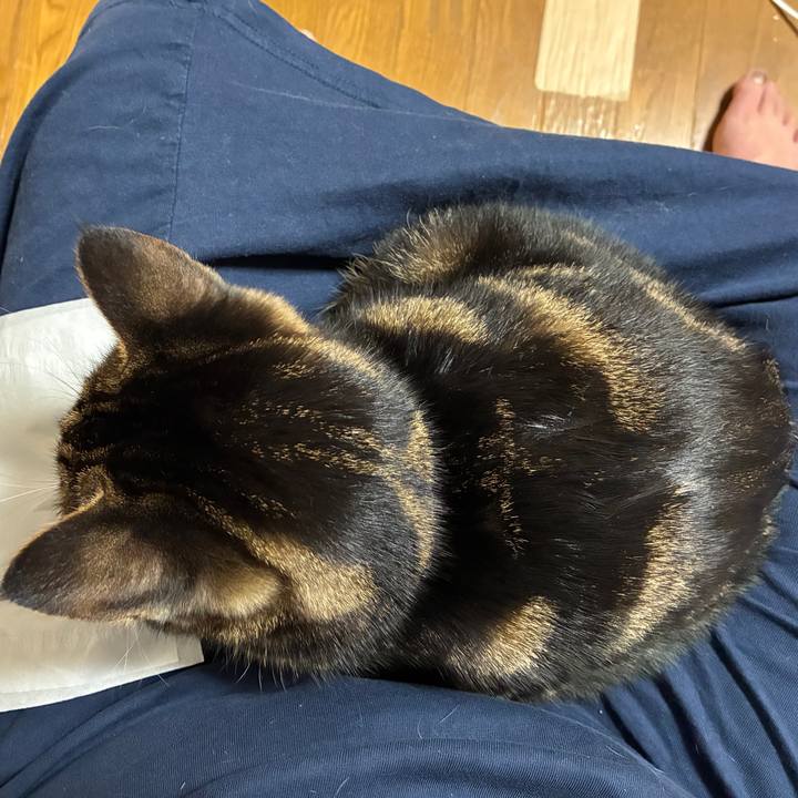 172a280f 11ba 4fae 8a4f 8a985af543da 1761831344890