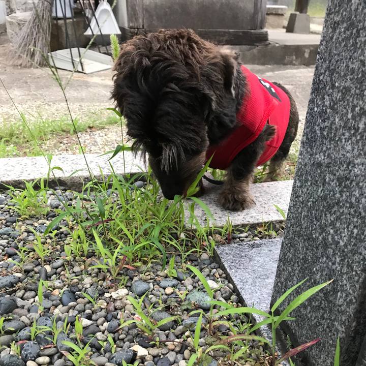 172a3b5a 975c 452f 9951 687a3a26ed96 1537174073928