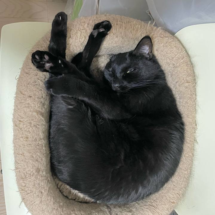 172a8af5 8813 4d87 95b8 7f70aa2e2dd0 1701092039477