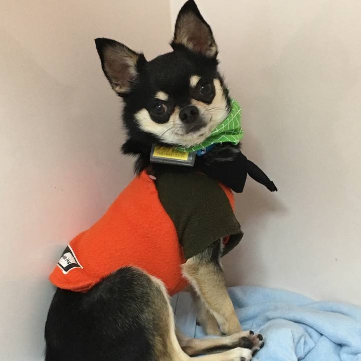 172a9153 fdce 442d 8716 cec94527c9f7 1520587581470