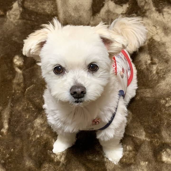 172aba7d 35ee 4baa 903f 8a288a2143fa 1645791288360