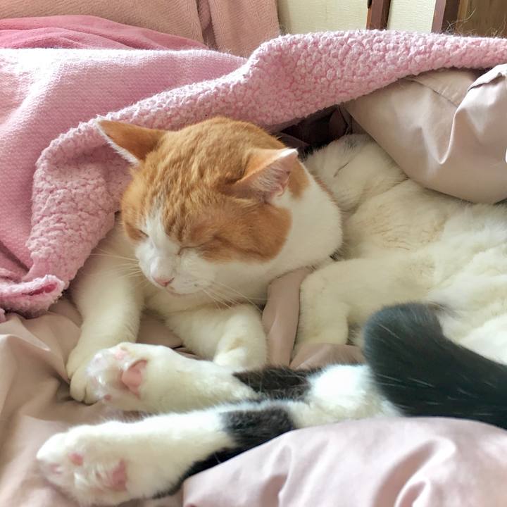 172b0b6f 534f 4d88 8808 238f246a3bb0 1612480295083