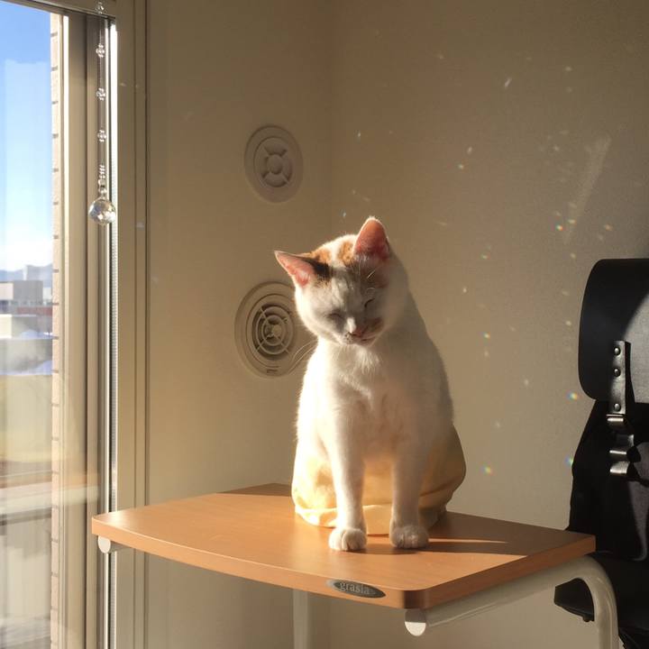 172b2c6a cba2 444c 860d de77a618a6f7 1515572851069