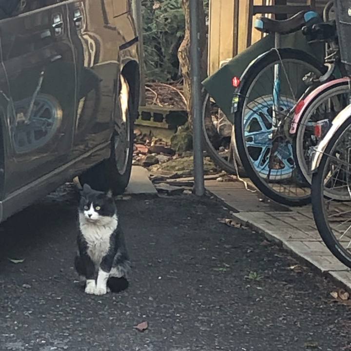 172b35d7 c996 4053 8b16 897ac671ed76 1552336513985